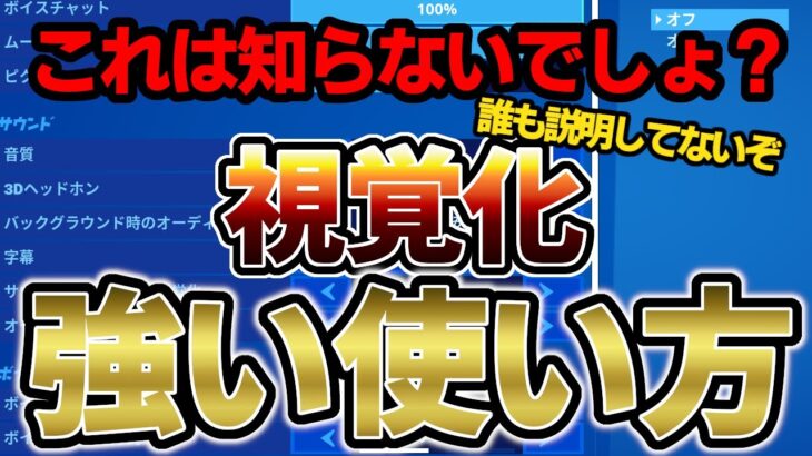 海外プロも猛者も使っている視覚化のこの使い方はやばい・・・！【フォートナイト/Fortnite】