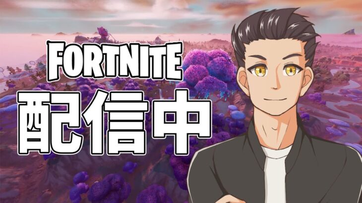 ソロでビクロイ取れないんだけど、助けて？【Fortnite・フォートナイト】