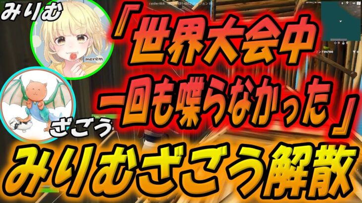 【みりむ・ざごう解散】世界大会中一回も喋らなかった？喧嘩別れで解散？【配信切り抜き】【フォートナイト/Fortnite】