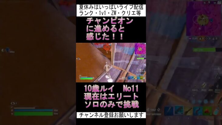 ソロだけでどこまで進めるかチャレンジNo11！現在エリート【フォートナイト  / Fortnite  】#shorts