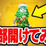 中身を全部紹介！！プレゼント14日分全て開けてみたら中身が豪華すぎた！【フォートナイト / Fortnite】【ウィンターフェスト】