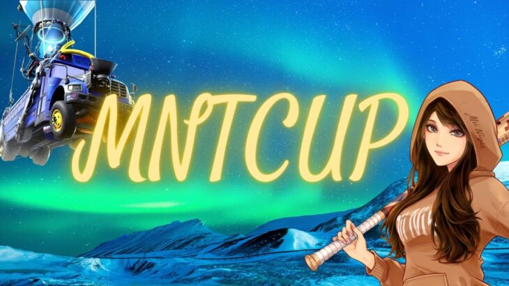 【フォートナイト/Fortnite】クリサポ👉『M i i』MNTCUP🏆ゼロビ☆2024/02/24