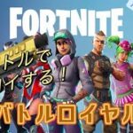 ピストルのみで、ビクロイ目指す！FORTNIGHT【フォートナイト】バトルロイヤル・ソロ【Switch版】必ずビクロイします