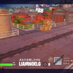 【Fortnite始めて1437日目】無言でノーマルソロ