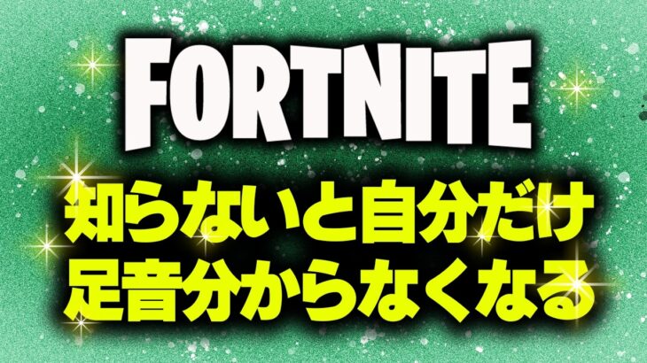 【設定革命】これで足音の上下わかるぞ。チャプター5版【フォートナイト/Fortnite】