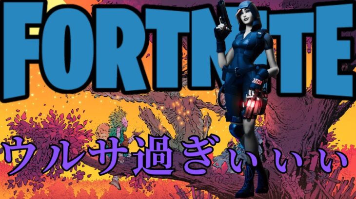 【フォートナイト】ハウリング少年に責められつつデュオで文句タラタラな私【FORTNITE】【Fortnite】