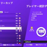 ソロキャッシュカップ決勝win【fortnite/フォートナイト】