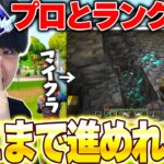 【ドッキリ】プロゲーマーとランク中に裏で”マイクラ”したらどれだけバレずに進めれるの！？【フォートナイト/Fortnite】