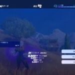 Fortnite_フォートナイトソロマグニート強くない？！