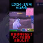 勝てば賞金！ソロキャッシュカップ【FORTNITE/フォートナイト】