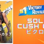 【フォートナイト/FORTNITE】ソロ大会で久しぶりのビクロイ‼️