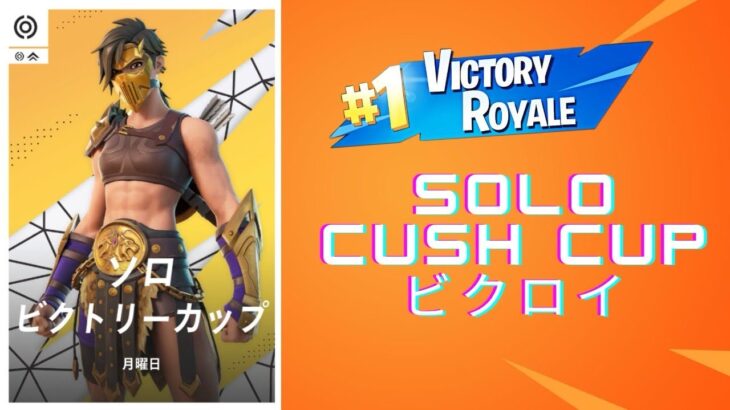 【フォートナイト/FORTNITE】ソロ大会で久しぶりのビクロイ‼️