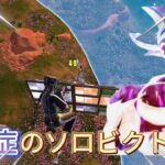 多動症によるソロビクトリーの終盤！？【フォートナイト/Fortnite】