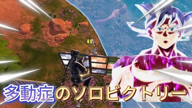 多動症によるソロビクトリーの終盤！？【フォートナイト/Fortnite】