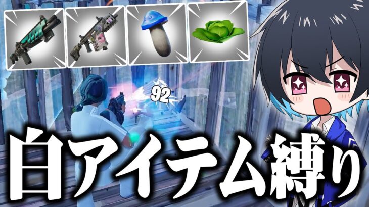 『武器/回復は白アイテムだけ』でソロアンリアル勝てるのか!?【フォートナイト/Fortnite】