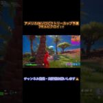 【フォートナイト/Fortnite】PS560fps勢がアメリカゼロビルドソロビクトリーカップ予選7キルビクロイして突破！？