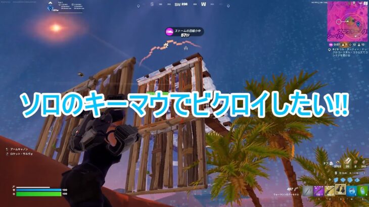 【フォートナイト】ソロのキーマウでビクロイしたい!!