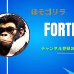 【フォートナイト】ソロ難しいですね