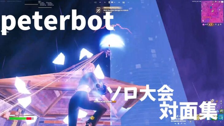 2024年世界大会優勝のpeterbot　ソロ大会対面まとめ！！