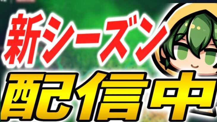 ソロ大会2週連続落ちてるから流石に今日は通る【フォートナイト/Fortnite】