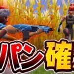 【ブチギレ確定】100％勝てるけど、絶対に嫌われる戦い方がこちらｗ【フォートナイト/FORTNITE】