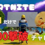 996撃破～　祝到達　ソロ1000撃破チャレンジ【フォートナイト/Fortnite】