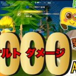 【AIゲーム実況/フォートナイト】アサルトで1000ダメージ?!【ゼロビルド攻略】