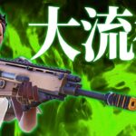 プロで大流行中の『フルカスタムストライカーAR』が強過ぎるｗｗ【フォートナイト/Fortnite】