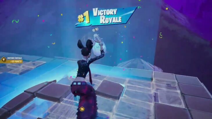 ソロビクトリーキャッシュカップビクロイ！！🏆【Fortnite/フォートナイト】