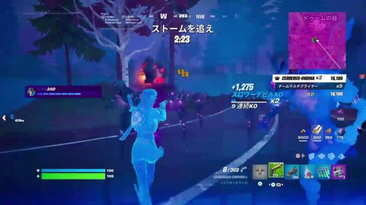 【Fortnite】番犬と水妖の旅々〜ソロのみ～