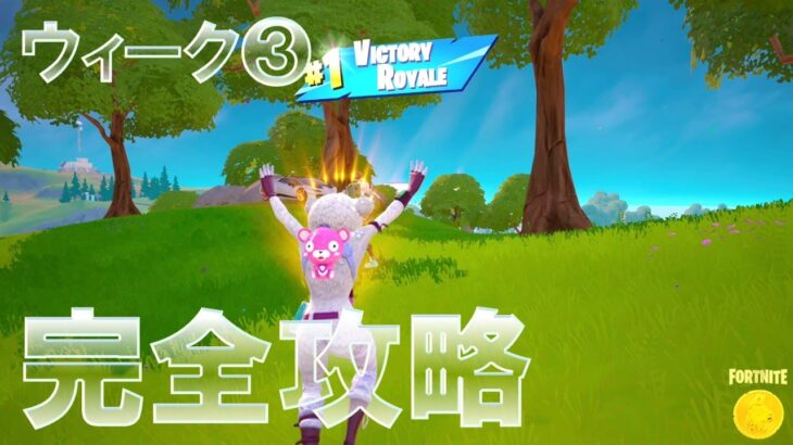 リミックス ウィーク3 完全攻略 #フォートナイト #チャプター2 #クエスト 『Fortnite Chapter2 REMIX All Week 3 Quests』