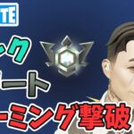 チーミング返り討ち！エリート ランクバトルロイヤル ソロ チャプター5シーズン4【フォートナイト/Fortnite】