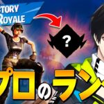 気になるシーズン初ランクは？ネフの予想は当たるのか！？【フォートナイト/Fortnite】