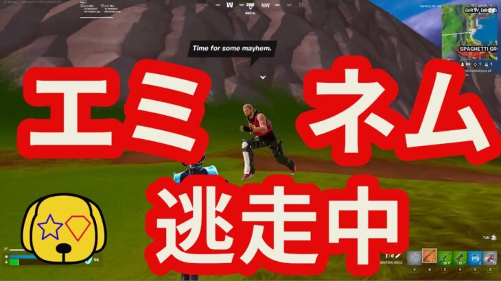 【フォートナイト/Fortnite】世界最弱のエミネムがスパゲッティグラトウから逃げ出した攻略 #runeminemrun