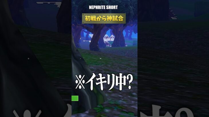 リリース当初の、本当のチャプター1が帰ってきた!【フォートナイト/Fortnite】