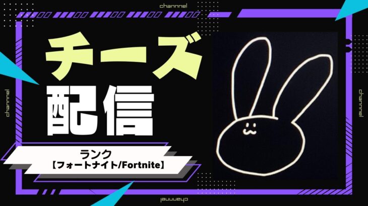 ソロキャッシュ！中東【フォートナイト/Fortnite】