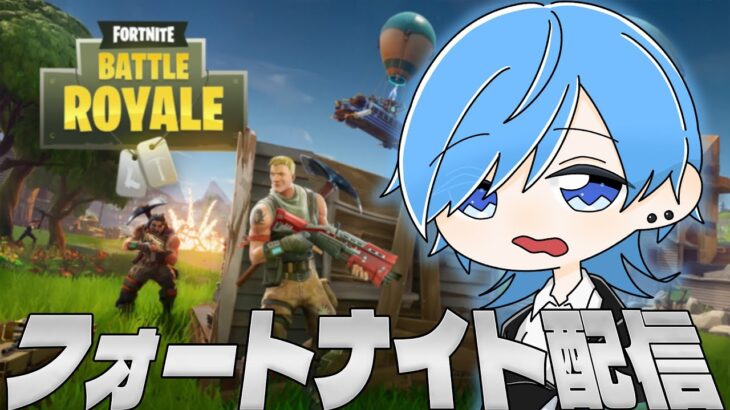 【Fortnite/フォートナイト】ソロ男