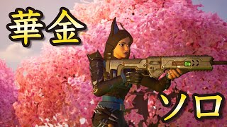 【華金】仲間集まるまでソロ【フォートナイト/Fortnite】