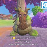 地の精霊に武器を与える【フォートナイト Fortnite C6S1W1】