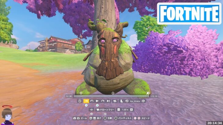 地の精霊に武器を与える【フォートナイト Fortnite C6S1W1】