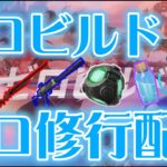 【ゼロビルド】固定降りを探していくぞ。 シヴァーでいくソロ修行配信(フォートナイトゼロビルド/Fortnite ZEROBUILD)