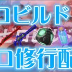 【ゼロビルド】メリクリ！フローズンレイブンでいくソロ修行配信(フォートナイトゼロビルド/Fortnite ZEROBUILD)