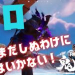 【フォートナイト】俺はまだしぬわけにはいかない！ソロ！【fortnite】