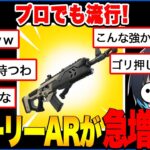 最近フューリーARが大流行りしている件について【フォートナイト/Fortnite】