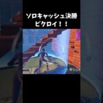 猛者しかいないソロキャッシュ決勝でビクロイ！！【フォートナイト/FORTNITE】