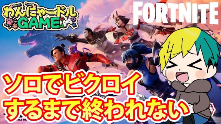 ソロでビクロイするまで終われません配信【 #フォートナイト / #FORTNITE 】#vtuber