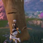 アメリカ西ソロキャッシュ予選#Fortnite #フォートナイト　#フォートナイトライブ配信 #配信