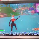 チームランブルでやってみた！【フォートナイト/Fortnite】