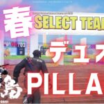 【フォートナイト】新春、デュオPILLARSで盛り上がれ！【fortnite】vol.2