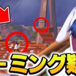 FNCSグラファで話題になっている件について…【フォートナイト/Fortnite】